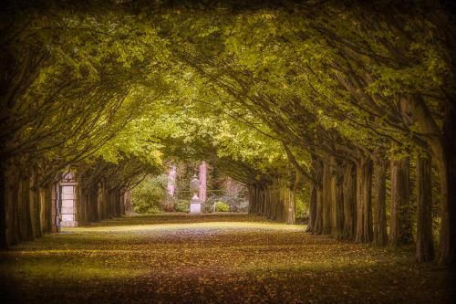 Anglesey Abbey Avenue