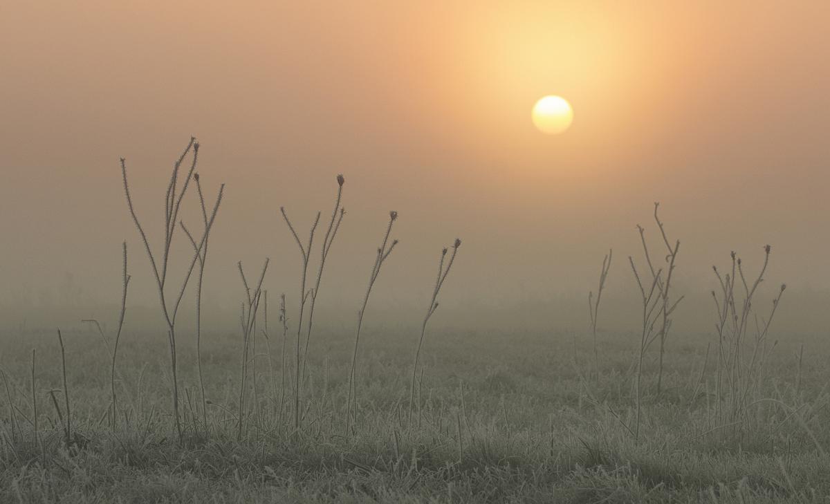St Ives_Fog, Frost, Sunrise