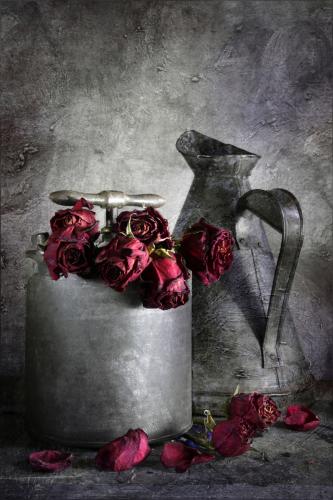 The Last Of The Roses