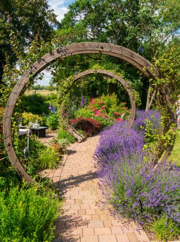 Brian Sibley_Hemingford Open Garden