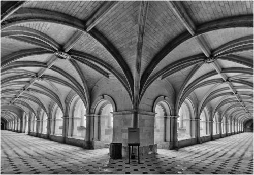 Ise Berridge_Fontevraud Abbey, France